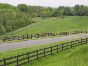 Fields Around the Clairvaux Horse Boarding Facility in Northern Virginia