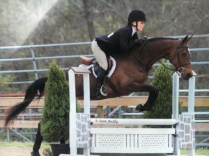 Many of Our Horses for Sale Have Experience at Local and Rated Horse Shows
